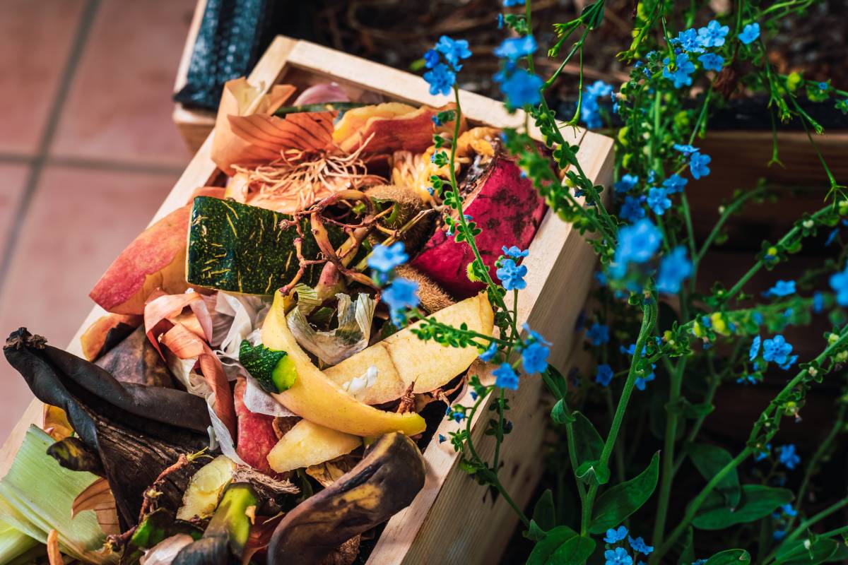 Material for composting food waste and turning it into nutrient-rich soil for plants.