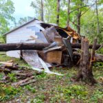 Storm hurricane uprooted trees that fell on shed due to strong winds